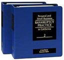 Personal and Small Business Bankruptcy Practice, edited by J. Scott Bovitz